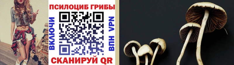 Галлюциногенные грибы прущие грибы  Купить закладки  Одинцово 