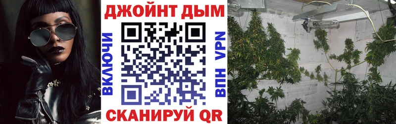 Бошки марихуана AK-47  Купить  Одинцово 